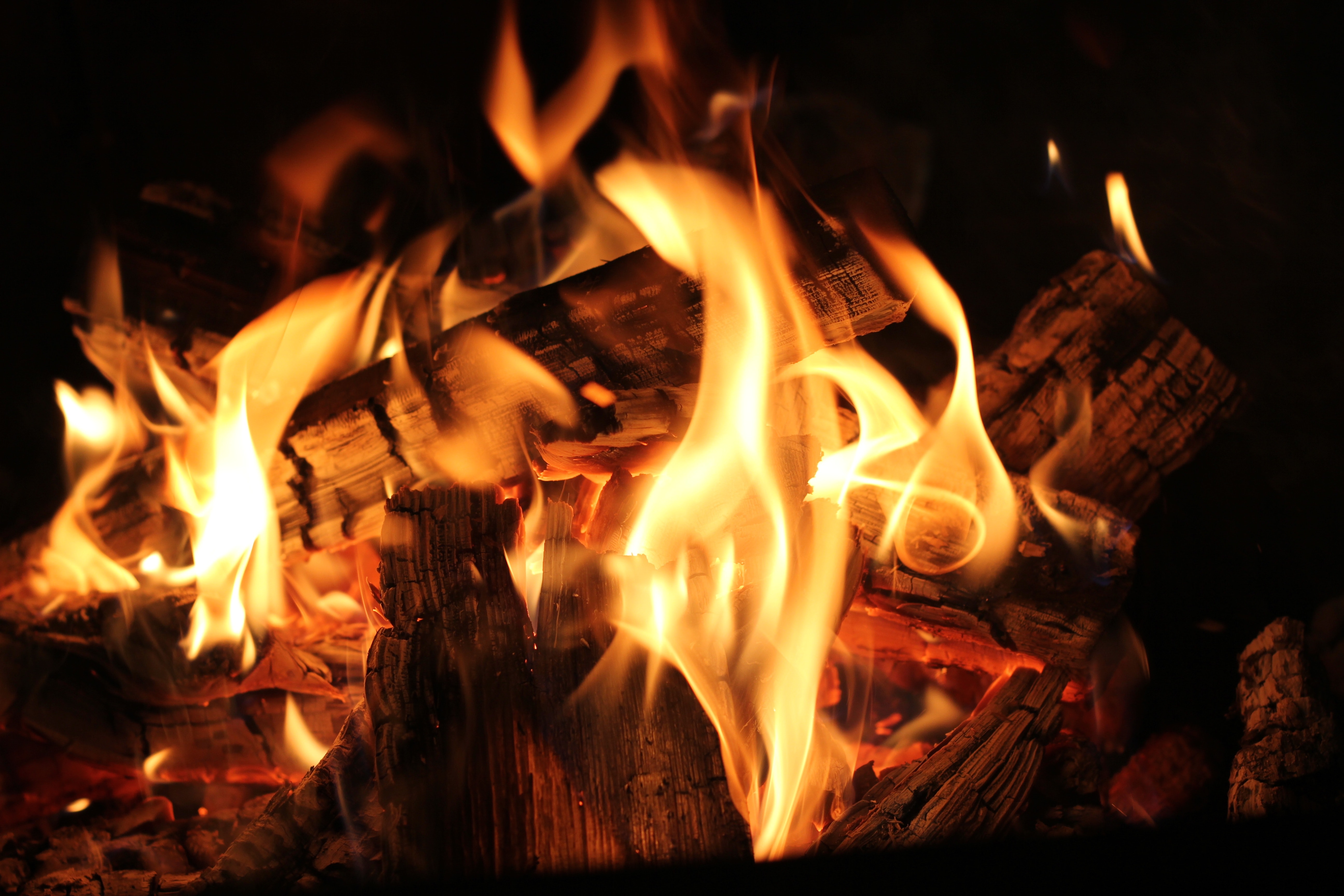 barbecue-blaze-bonfire-220129